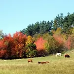 Loire-gerbier-mezenc *