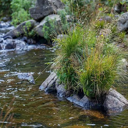 Loire-gerbier-mezenc * Sainte-Eulalie (Ardeche)